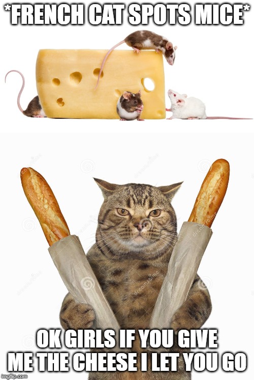 Those french cats | *FRENCH CAT SPOTS MICE*; OK GIRLS IF YOU GIVE ME THE CHEESE I LET YOU GO | image tagged in cat french | made w/ Imgflip meme maker