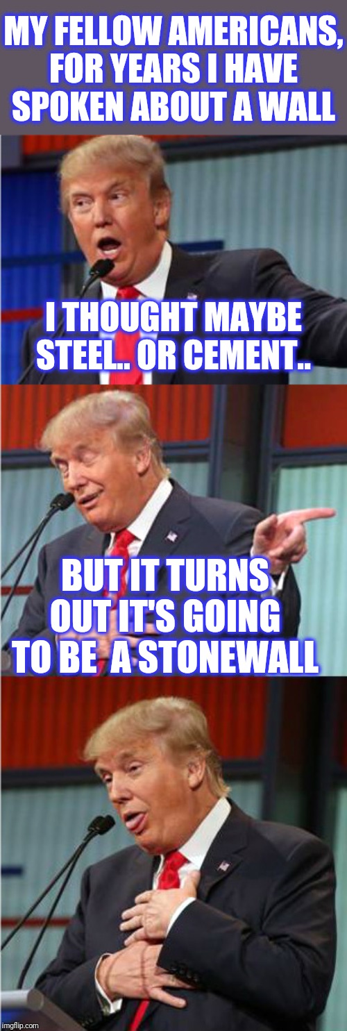 Bad Pun Trump | MY FELLOW AMERICANS, FOR YEARS I HAVE SPOKEN ABOUT A WALL I THOUGHT MAYBE STEEL.. OR CEMENT.. BUT IT TURNS OUT IT'S GOING TO BE  A STONEWALL | image tagged in bad pun trump | made w/ Imgflip meme maker