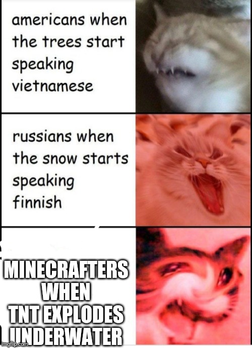 Screaming cats | MINECRAFTERS WHEN TNT EXPLODES UNDERWATER | image tagged in screaming cats | made w/ Imgflip meme maker