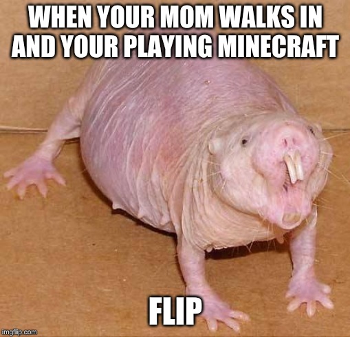 naked mole rat | WHEN YOUR MOM WALKS IN AND YOUR PLAYING MINECRAFT; FLIP | image tagged in naked mole rat | made w/ Imgflip meme maker