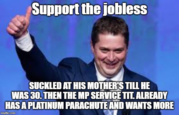 Suckling pig wants more and more ... and has NEVER done ANYTHING | Support the jobless; SUCKLED AT HIS MOTHER'S TILL HE WAS 30. THEN THE MP SERVICE TIT. ALREADY HAS A PLATINUM PARACHUTE AND WANTS MORE | image tagged in scheer idiot,suckling pig,election 2019,abc2019cdn,anything but conservative | made w/ Imgflip meme maker