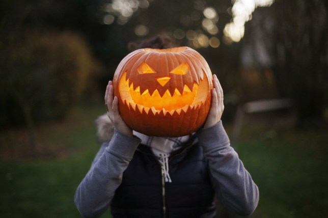 High Quality Creepy Jack-o-lantern Blank Meme Template