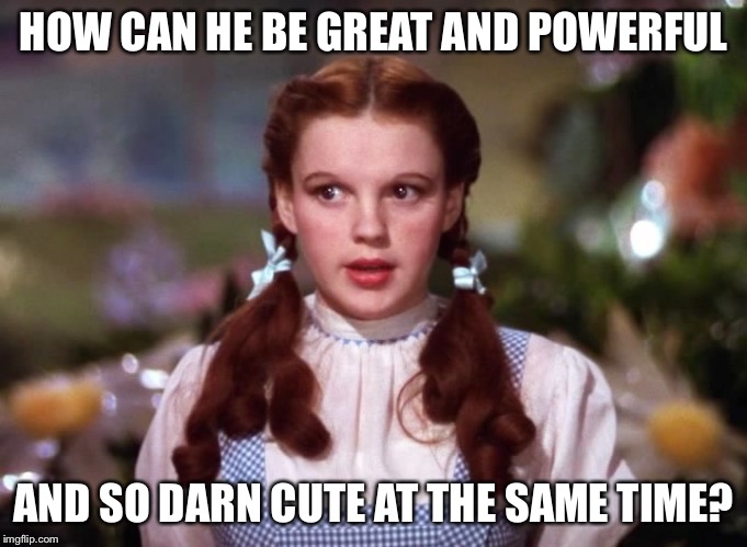 Dorothy wiz of oz | HOW CAN HE BE GREAT AND POWERFUL AND SO DARN CUTE AT THE SAME TIME? | image tagged in dorothy wiz of oz | made w/ Imgflip meme maker