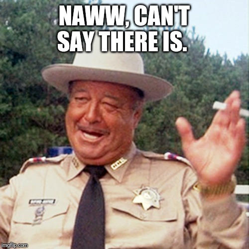 buford t justice | NAWW, CAN'T SAY THERE IS. | image tagged in buford t justice | made w/ Imgflip meme maker