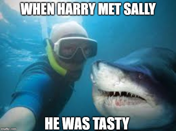 When Sharks audition |  WHEN HARRY MET SALLY; HE WAS TASTY | image tagged in shark attack,darwin award | made w/ Imgflip meme maker