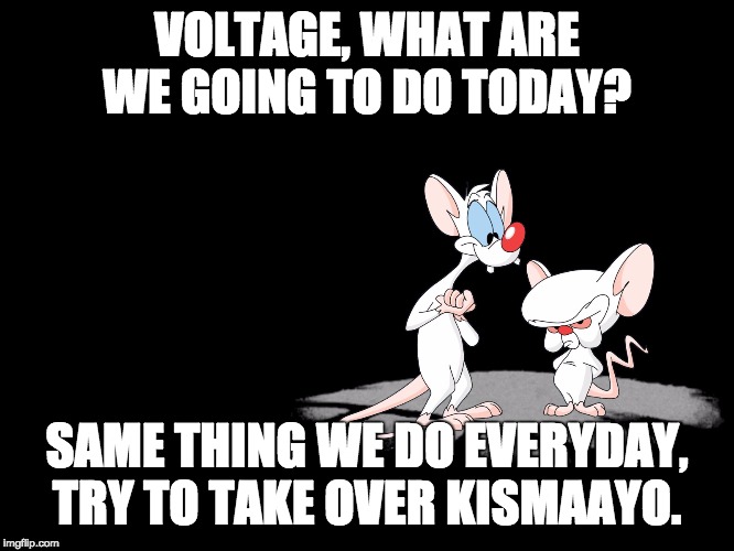 Pinky And The Brain | VOLTAGE, WHAT ARE WE GOING TO DO TODAY? SAME THING WE DO EVERYDAY, TRY TO TAKE OVER KISMAAYO. | image tagged in pinky and the brain | made w/ Imgflip meme maker