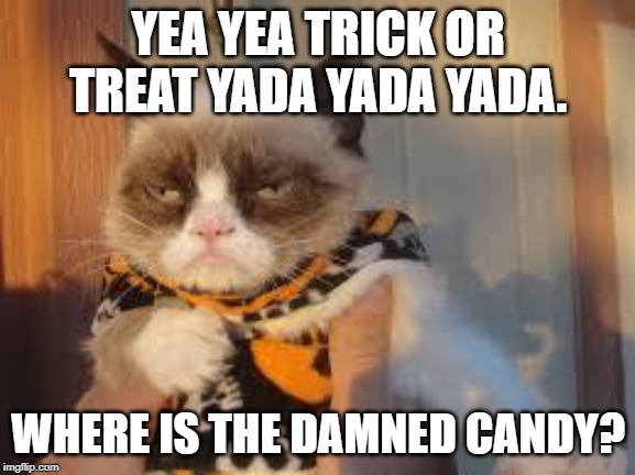 Grumpy Cat Halloween Meme | YEA YEA TRICK OR TREAT YADA YADA YADA. WHERE IS THE DAMNED CANDY? | image tagged in memes,grumpy cat halloween,grumpy cat | made w/ Imgflip meme maker