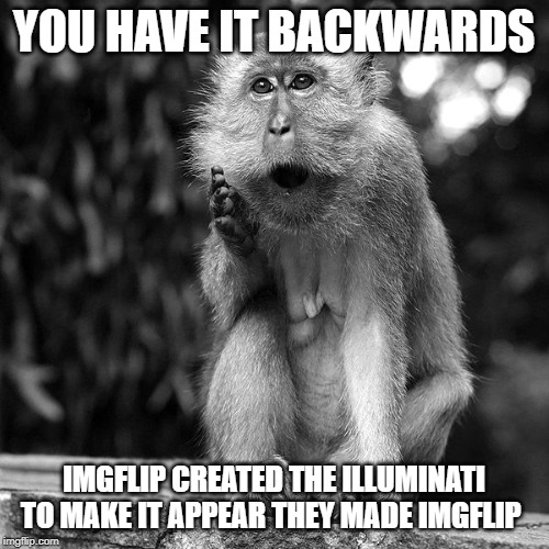 Wise Monkey | YOU HAVE IT BACKWARDS IMGFLIP CREATED THE ILLUMINATI TO MAKE IT APPEAR THEY MADE IMGFLIP | image tagged in wise monkey | made w/ Imgflip meme maker