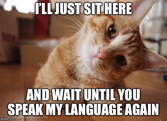 Curious Question Cat | I’LL JUST SIT HERE AND WAIT UNTIL YOU SPEAK MY LANGUAGE AGAIN | image tagged in curious question cat | made w/ Imgflip meme maker