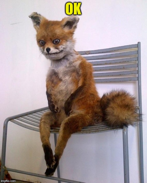 Stoned Fox | OK | image tagged in stoned fox | made w/ Imgflip meme maker