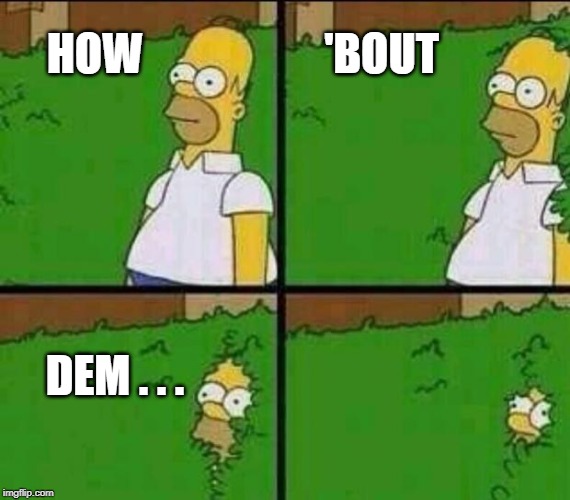 Cowboys Fans Be Like . . . | 'BOUT; HOW; DEM . . . | image tagged in homer simpson in bush - large | made w/ Imgflip meme maker