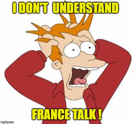 Fry Freaking Out | I DON'T  UNDERSTAND FRANCE TALK ! | image tagged in fry freaking out | made w/ Imgflip meme maker