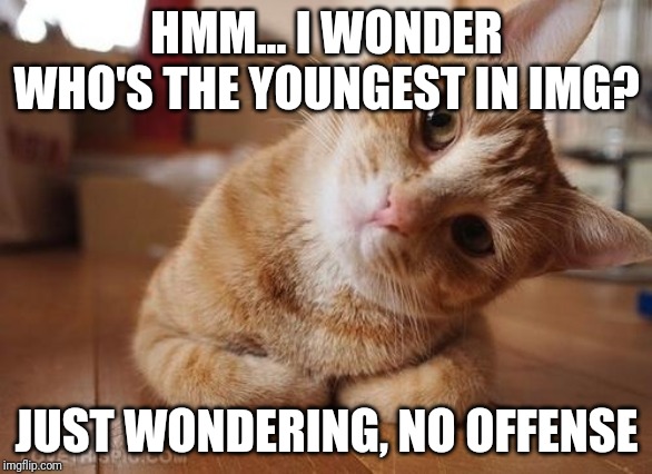 Curious Question Cat |  HMM... I WONDER WHO'S THE YOUNGEST IN IMG? JUST WONDERING, NO OFFENSE | image tagged in curious question cat | made w/ Imgflip meme maker