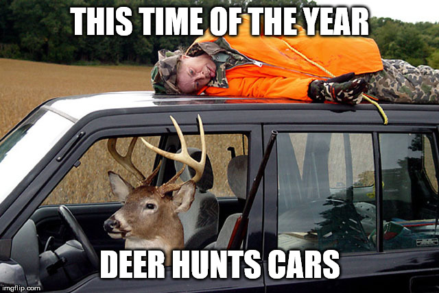 Deer hunting humans | THIS TIME OF THE YEAR; DEER HUNTS CARS | image tagged in deer hunting humans | made w/ Imgflip meme maker