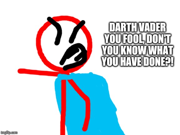 Blank White Template | DARTH VADER YOU FOOL, DON'T YOU KNOW WHAT YOU HAVE DONE?! | image tagged in blank white template | made w/ Imgflip meme maker