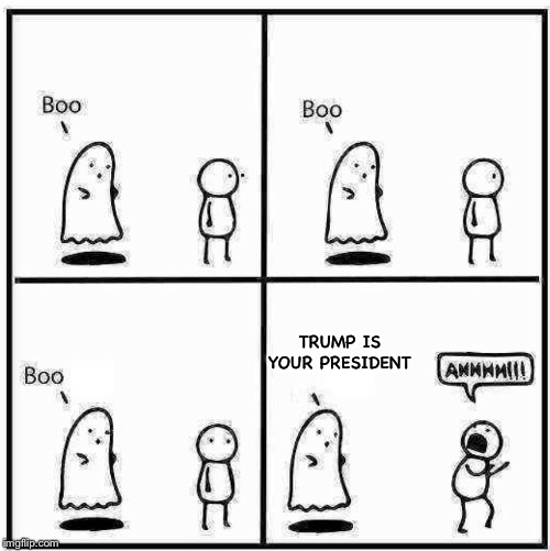 How to scare a liberal | TRUMP IS YOUR PRESIDENT | image tagged in ghost boo,triggered liberal,trump 2016 | made w/ Imgflip meme maker