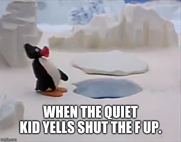 Oh shit pengu | WHEN THE QUIET KID YELLS SHUT THE F UP. | image tagged in oh shit pengu | made w/ Imgflip meme maker