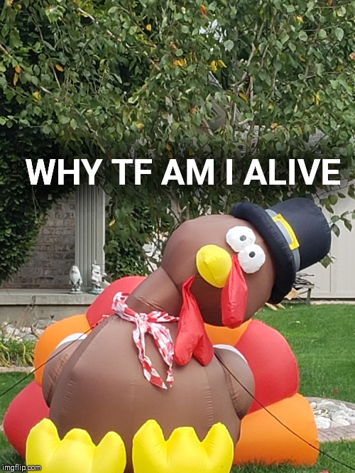 Why am i here turkey | WHY TF AM I ALIVE | image tagged in why am i here turkey | made w/ Imgflip meme maker