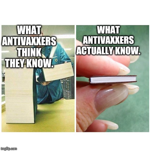 Big book vs Little Book | WHAT ANTIVAXXERS ACTUALLY KNOW. WHAT ANTIVAXXERS THINK THEY KNOW. | image tagged in big book vs little book | made w/ Imgflip meme maker