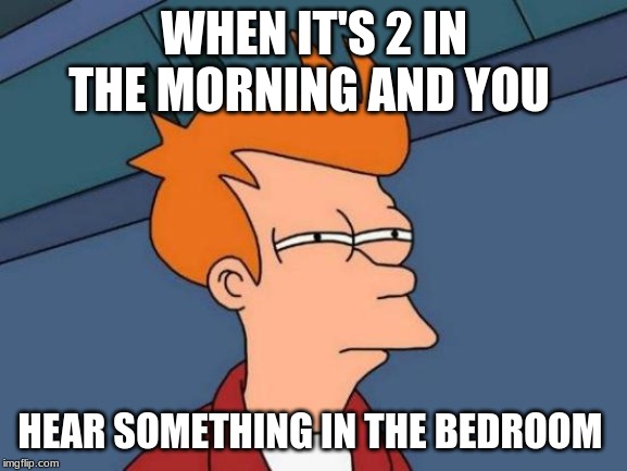 funny meme | WHEN IT'S 2 IN THE MORNING AND YOU; HEAR SOMETHING IN THE BEDROOM | image tagged in memes,futurama fry,my meme | made w/ Imgflip meme maker