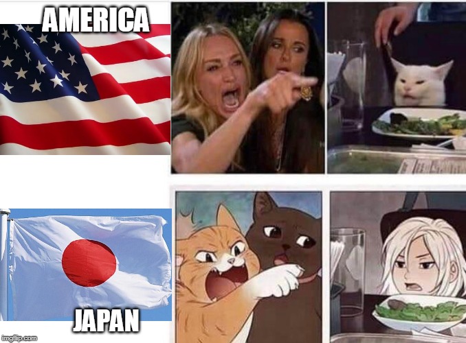ROLES ARE REVERSED | AMERICA; JAPAN | image tagged in japan,american flag,woman yelling at cat,anime | made w/ Imgflip meme maker