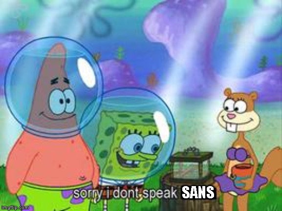 Sorry I don't speak ____ | SANS | image tagged in sorry i don't speak ____,sans | made w/ Imgflip meme maker