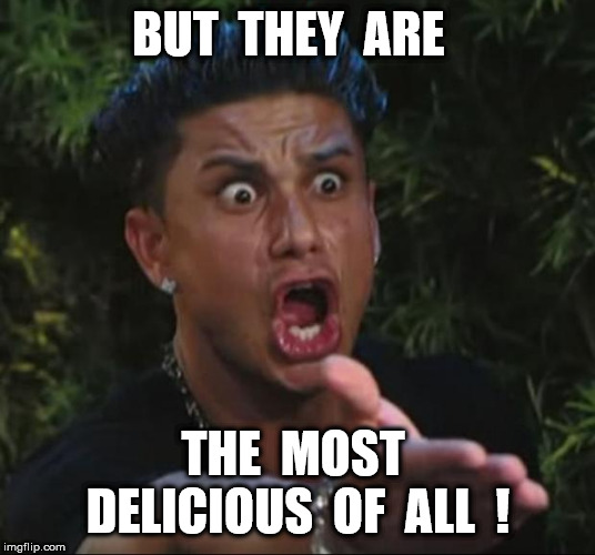 DJ Pauly D Meme | BUT  THEY  ARE THE  MOST  DELICIOUS  OF  ALL  ! | image tagged in memes,dj pauly d | made w/ Imgflip meme maker