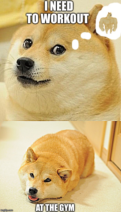 I NEED TO WORKOUT; AT THE GYM | image tagged in memes,doge | made w/ Imgflip meme maker