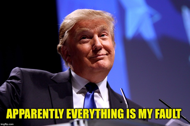 Donald Trump No2 | APPARENTLY EVERYTHING IS MY FAULT | image tagged in donald trump no2 | made w/ Imgflip meme maker