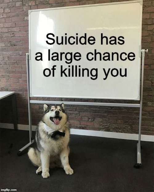 How to be a good boy | Suicide has a large chance of killing you | image tagged in how to be a good boy | made w/ Imgflip meme maker