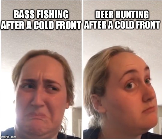Kombucha Girl | DEER HUNTING AFTER A COLD FRONT; BASS FISHING AFTER A COLD FRONT | image tagged in kombucha girl | made w/ Imgflip meme maker