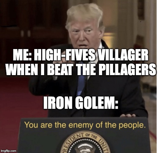 You Are the Enemy of the People | ME: HIGH-FIVES VILLAGER WHEN I BEAT THE PILLAGERS; IRON GOLEM: | image tagged in you are the enemy of the people | made w/ Imgflip meme maker