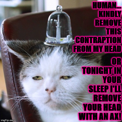 TWO CHOICES | HUMAN... KINDLY REMOVE THIS CONTRAPTION FROM MY HEAD; OR TONIGHT IN YOUR SLEEP I'LL REMOVE YOUR HEAD WITH AN AX! | image tagged in two choices | made w/ Imgflip meme maker