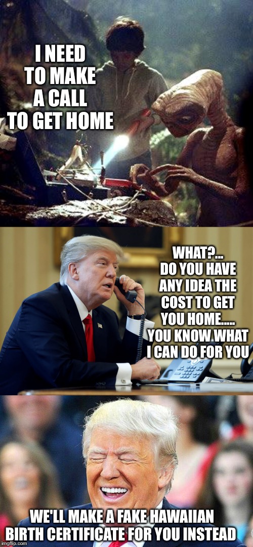 sometimes it's better getting trolled over Twitter instead lol | I NEED TO MAKE A CALL TO GET HOME; WHAT?... DO YOU HAVE ANY IDEA THE COST TO GET YOU HOME..... YOU KNOW WHAT I CAN DO FOR YOU; WE'LL MAKE A FAKE HAWAIIAN BIRTH CERTIFICATE FOR YOU INSTEAD | image tagged in trump laughing,trump phone | made w/ Imgflip meme maker