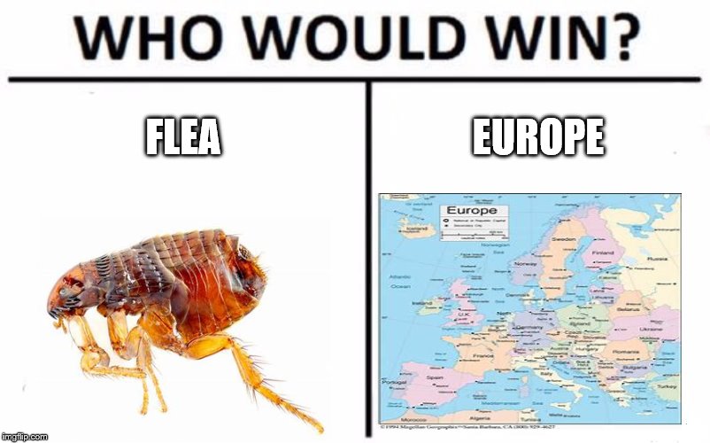 Who Would Win? Meme | FLEA; EUROPE | image tagged in memes,who would win | made w/ Imgflip meme maker