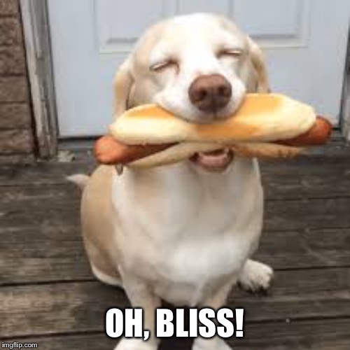 Sure is a dog eats dog world... | OH, BLISS! | image tagged in dog,hot dog | made w/ Imgflip meme maker