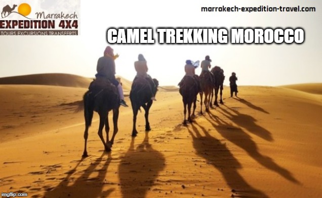 Camel trekking Morocco | CAMEL TREKKING MOROCCO | image tagged in camel trekking morocco,customized morocco tours | made w/ Imgflip meme maker