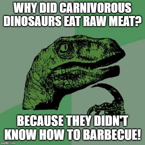 Philosoraptor Meme | WHY DID CARNIVOROUS DINOSAURS EAT RAW MEAT? BECAUSE THEY DIDN'T KNOW HOW TO BARBECUE! | image tagged in memes,philosoraptor | made w/ Imgflip meme maker