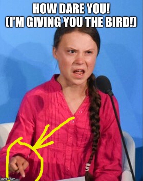 Greta Thunberg how dare you HOW DARE YOU!(I’M GIVING YOU THE BIRD!) image t...