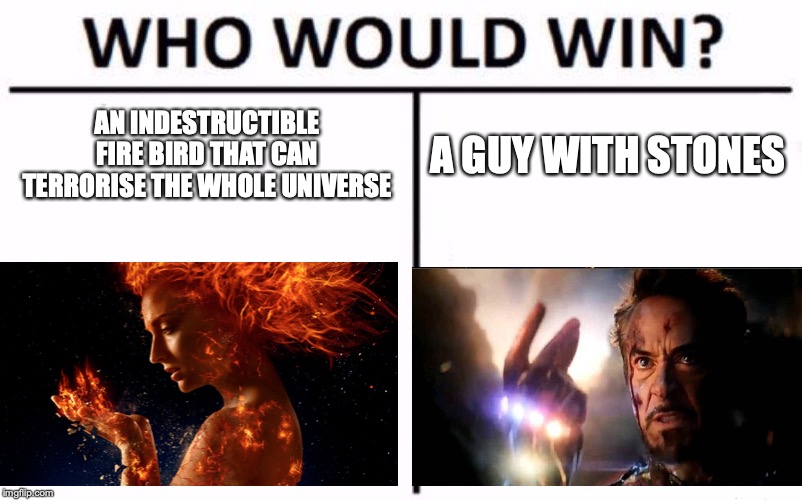 Who Would Win? Meme | AN INDESTRUCTIBLE FIRE BIRD THAT CAN TERRORISE THE WHOLE UNIVERSE; A GUY WITH STONES | image tagged in memes,who would win | made w/ Imgflip meme maker