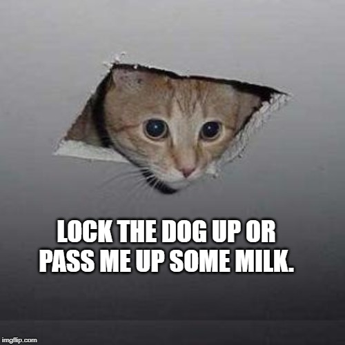 Ceiling Cat | LOCK THE DOG UP OR PASS ME UP SOME MILK. | image tagged in memes,ceiling cat | made w/ Imgflip meme maker