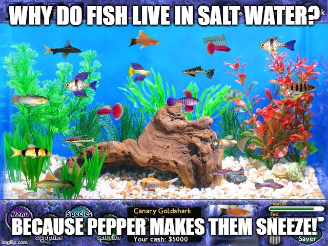 Fish | WHY DO FISH LIVE IN SALT WATER? BECAUSE PEPPER MAKES THEM SNEEZE! | image tagged in fishing | made w/ Imgflip meme maker