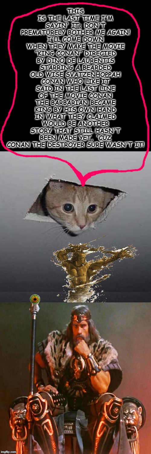Ceiling Cat | THIS IS THE LAST TIME I'M SAYIN' IT; DON'T PREMATURELY BOTHER ME AGAIN! I'LL COME DOWN WHEN THEY MAKE THE MOVIE "KING CONAN" DIRECTED BY DINO DE LAURENTIS STARRING A BEARDED OLD WISE SVATZENHOPPAH CONAN WHO LIKE IT SAID IN THE LAST LINE OF THE MOVIE CONAN THE BARBARIAN BECAME KING BY HIS OWN HAND IN WHAT THEY CLAIMED WOULD BE ANOTHER STORY THAT STILL HASN'T BEEN MADE YET, 'CUZ CONAN THE DESTROYER SURE WASN'T IT! | image tagged in memes,ceiling cat | made w/ Imgflip meme maker