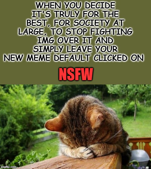 Embarrassed Cat | WHEN YOU DECIDE IT'S TRULY FOR THE BEST, FOR SOCIETY AT LARGE, TO STOP FIGHTING IMG OVER IT AND SIMPLY LEAVE YOUR NEW MEME DEFAULT CLICKED ON; NSFW | image tagged in embarrassed cat | made w/ Imgflip meme maker