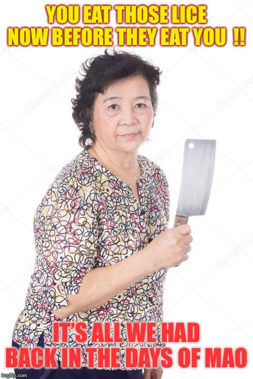 chinese woman cleaver | YOU EAT THOSE LICE NOW BEFORE THEY EAT YOU  !! IT’S ALL WE HAD BACK IN THE DAYS OF MAO | image tagged in chinese woman cleaver | made w/ Imgflip meme maker
