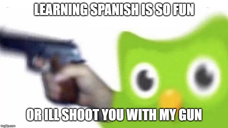 duolingo gun | LEARNING SPANISH IS SO FUN OR ILL SHOOT YOU WITH MY GUN | image tagged in duolingo gun | made w/ Imgflip meme maker