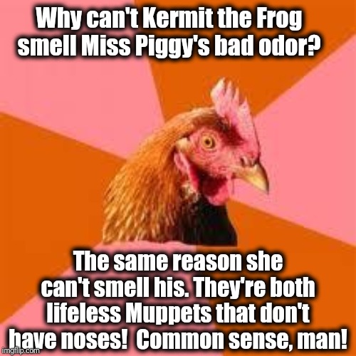 Anti-Joke Chicken | Why can't Kermit the Frog smell Miss Piggy's bad odor? The same reason she can't smell his. They're both lifeless Muppets that don't have noses!  Common sense, man! | image tagged in anti-joke chicken | made w/ Imgflip meme maker