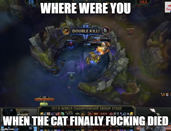 WHERE WERE YOU; WHEN THE CAT FINALLY FUCKING DIED | made w/ Imgflip meme maker
