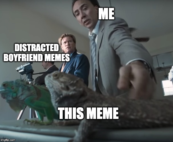 Distracted Iguana | ME; DISTRACTED BOYFRIEND MEMES; THIS MEME | image tagged in distracted iguana | made w/ Imgflip meme maker