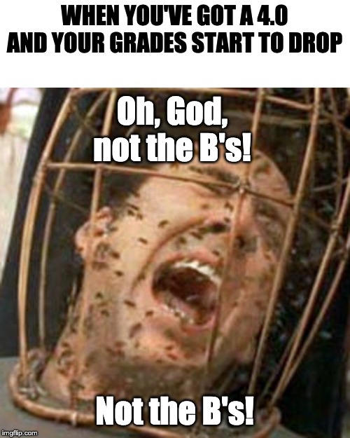 Not the Bees | WHEN YOU'VE GOT A 4.0 AND YOUR GRADES START TO DROP; Oh, God, not the B's! Not the B's! | image tagged in not the bees | made w/ Imgflip meme maker
